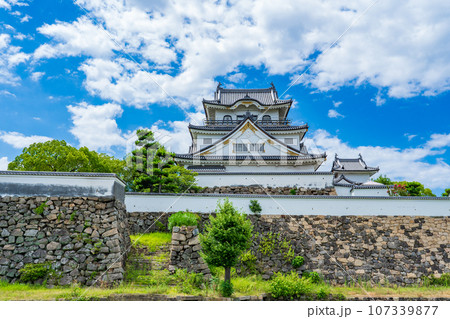 大阪府岸和田市　青空に映える夏の岸和田城 107339877