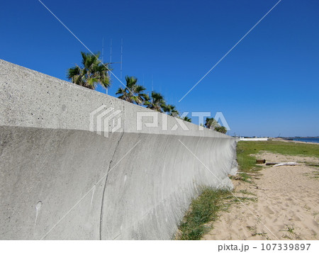 浜辺の風景 浜辺の風景 107339897