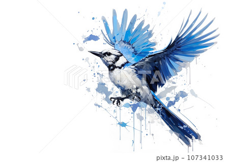 Blue jay bird with camellia flowers. Watercolor - Stock Illustration  [88863028] - PIXTA