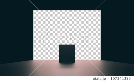 光牆前的黑盒子 107341359