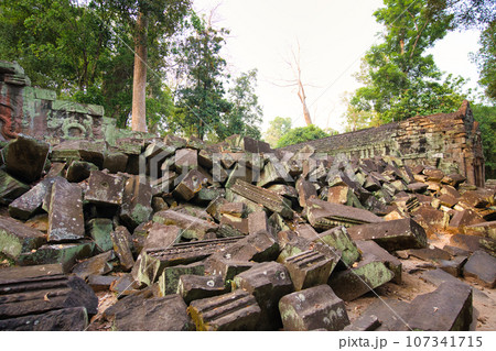遺跡が長い年月をかけて木に侵食されているタプローム寺院 カンボジア・アンコール遺跡群 遺跡が長い年月をかけて木に侵食されているタプローム寺院 カンボジア・アンコール遺跡群 107341715