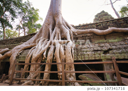 アンコール遺跡　版画 木製フレーム アンコール遺跡 版画 木製フレーム タプローム｜アジア写真帳