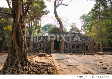 遺跡が長い年月をかけて木に侵食されているタプローム寺院 カンボジア・アンコール遺跡群 遺跡が長い年月をかけて木に侵食されているタプローム寺院 カンボジア・アンコール遺跡群 107341722