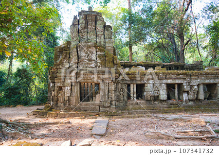 遺跡が長い年月をかけて木に侵食されているタプローム寺院　カンボジア・アンコール遺跡群 107341732