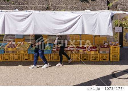 230929宮川朝市z177 107341774