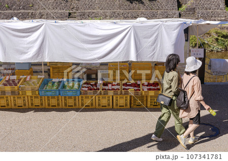 230929宮川朝市z105 230929宮川朝市z105 107341781