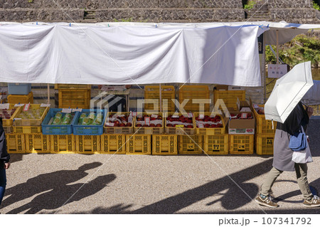 230929宮川朝市z055 107341792