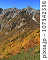紅葉の槍ヶ岳東鎌尾根 107342336