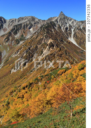 紅葉の槍ヶ岳東鎌尾根 107342336