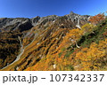 紅葉の槍ヶ岳東鎌尾根 107342337