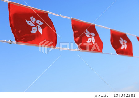 hong kong flag set up in the event for celebrating the National Day of the People's Republic of China 74 th anniversary in market of Sheung Wan, Hong Kong 107342381