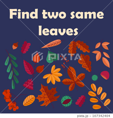 Autumn poster. Kids worksheet. Finding same...のイラスト素材 [107342404] - PIXTA