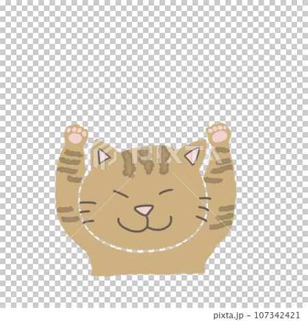 手書き　ネコ　フレーム　 107342421