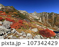 紅葉の天狗原と槍ヶ岳 107342429