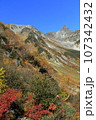槍ヶ岳を望む紅葉の天狗原 107342432