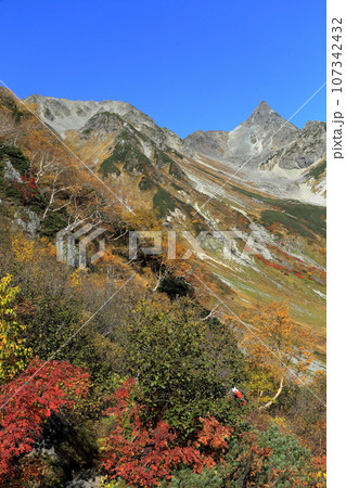 槍ヶ岳を望む紅葉の天狗原 107342432