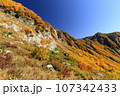 金色の槍ヶ岳東鎌尾根水俣乗越 107342433