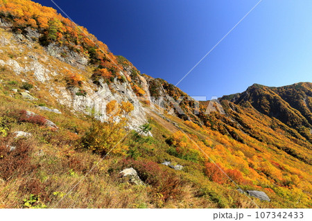 金色の槍ヶ岳東鎌尾根水俣乗越 107342433