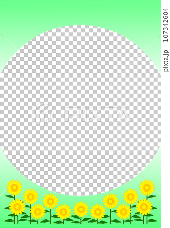 Peaceful sunflower field 107342604