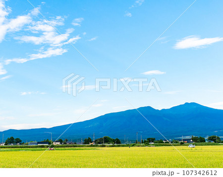 優雅な鳥海山を望む、米どころ山形の爽やかな真夏の田園風景 107342612