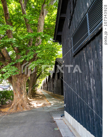 夏に訪れた美しい酒田市の山居倉庫とケヤキ並木 歴史的建物 夏に訪れた美しい酒田市の山居倉庫とケヤキ並木 歴史的建物 107343928