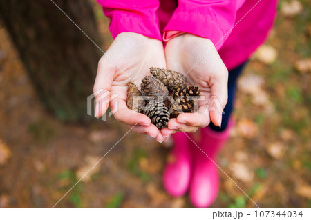 girl in pink raincoat and rubber boots holds fir cones in her hands 107344034