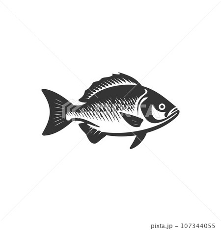 Snapper fish icon Snapper fish icon 107344055