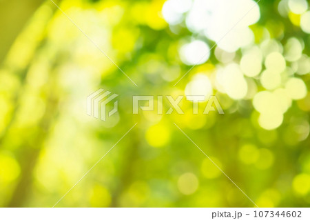 Abstract background with bokeh defocused lights Abstract background with bokeh defocused lights 107344602