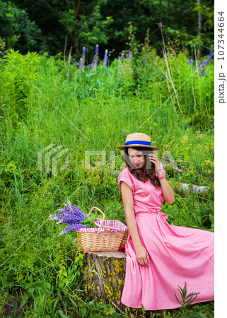 beautiful girl in a beautiful dress sits on a stump in the forest, a bouquet of lupines in a basket beautiful girl in a beautiful dress sits on a stump in the forest, a bouquet of lupines in a basket 107344664