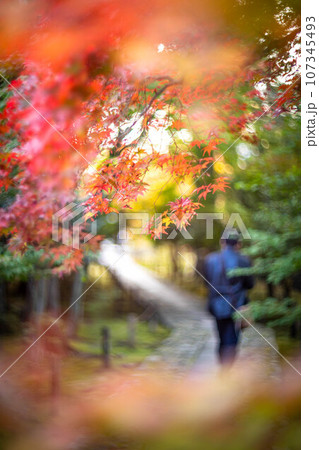 京都の秋、鹿王院の参道、色づきはじめのカラフルな紅葉、石畳の道に鮮やかなもみじ 京都の秋、鹿王院の参道、色づきはじめのカラフルな紅葉、石畳の道に鮮やかなもみじ 107345493