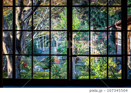 京都の秋、鹿王院の紅葉、庫裡の格子窓から庭の眺め 107345504