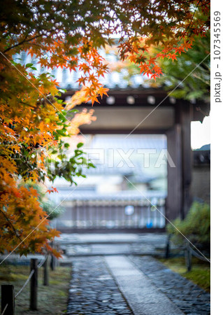 京都の秋、鹿王院の紅葉、秋の夕陽さす参道と山門にカラフルな紅葉、光の渦 京都の秋、鹿王院の紅葉、秋の夕陽さす参道と山門にカラフルな紅葉、光の渦 107345569