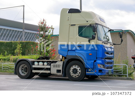 トラクターヘッド 107347372