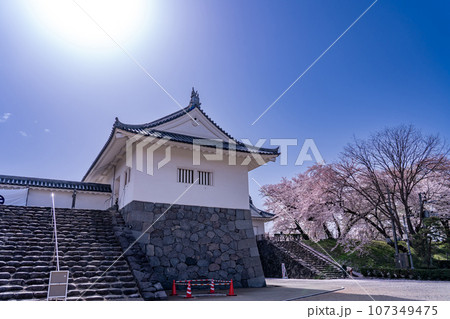 山形県霞城公園内の山形城址二ノ丸東大手門と桜 107349475