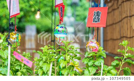 「東京都」浅草寺四万六千日「ほおずき市」の風景 「東京都」浅草寺四万六千日「ほおずき市」の風景 107349505