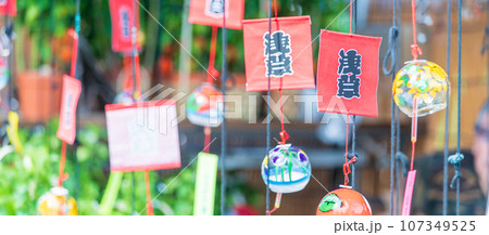 「東京都」浅草寺四万六千日「ほおずき市」の風景 「東京都」浅草寺四万六千日「ほおずき市」の風景 107349525
