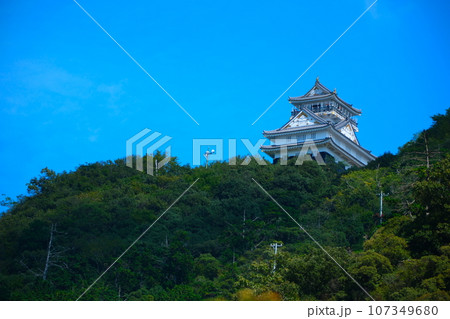 夏の岐阜城 107349680