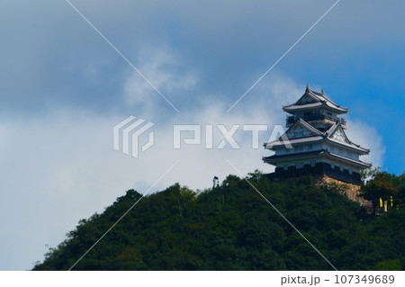 夏の岐阜城 107349689