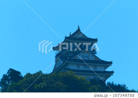 夏の岐阜城 夏の岐阜城 107349788