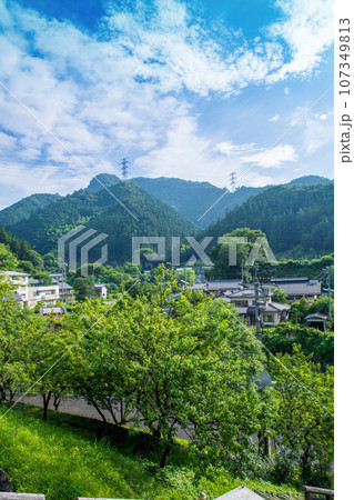 吉田元気村からの眺め　吉田川　街並み　真夏の風景　秩父市上吉田 107349813