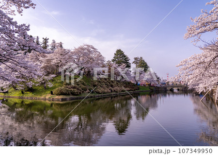 山形県米沢市 春の米沢城址のお堀と満開の桜 山形県米沢市 春の米沢城址のお堀と満開の桜 107349950