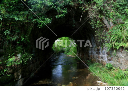 夏草茂る新城市鳳来寺の音為川水辺のトンネル 107350042