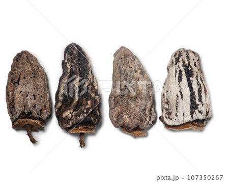 Dried persimmon on a white background. Dried fruits of the tree. Dried fruits isolate. Pattern. Healthy food concept.  Place for an inscription 107350267