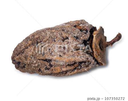 Dried persimmon on a white background. Dry fruits of the tree. Dried fruit isolate. Wrinkled persimmon. Sample. Healthy food concept. Place for an inscription Dried persimmon on a white background. Dry fruits of the tree. Dried fruit isolate. Wrinkled persimmon. Sample. Healthy food concept. Place for an inscription 107350272