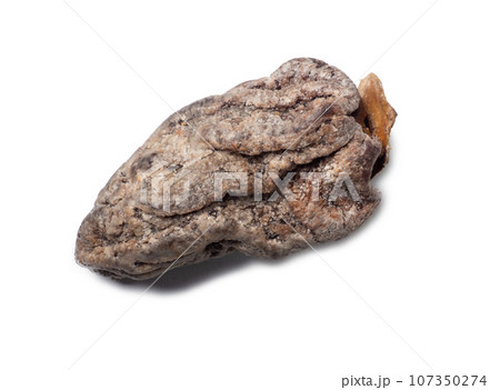 Dried persimmon on a white background. Dry fruits of the tree. Dried fruit isolate. Wrinkled persimmon. Sample. Healthy food concept.  Place for an inscription 107350274