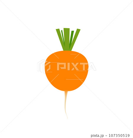 Parisian Market carrot, paris carrot, vegetable, illustration, drawing 107350519