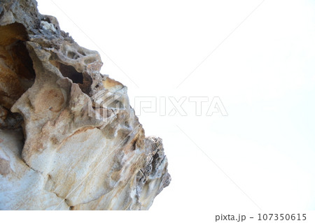 竜串海岸の奇岩 107350615