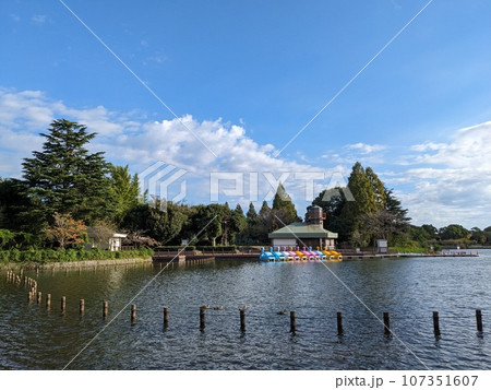 柏の葉公園　ボートハウスとスワンボート 107351607