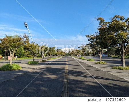 柏の葉公園　総合競技場前の並木 107351609