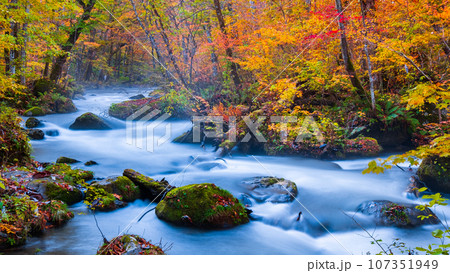 奥入瀬渓流（秋） 107351949